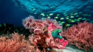 AI revolutionizes customer engagement, personalization, and lead generation