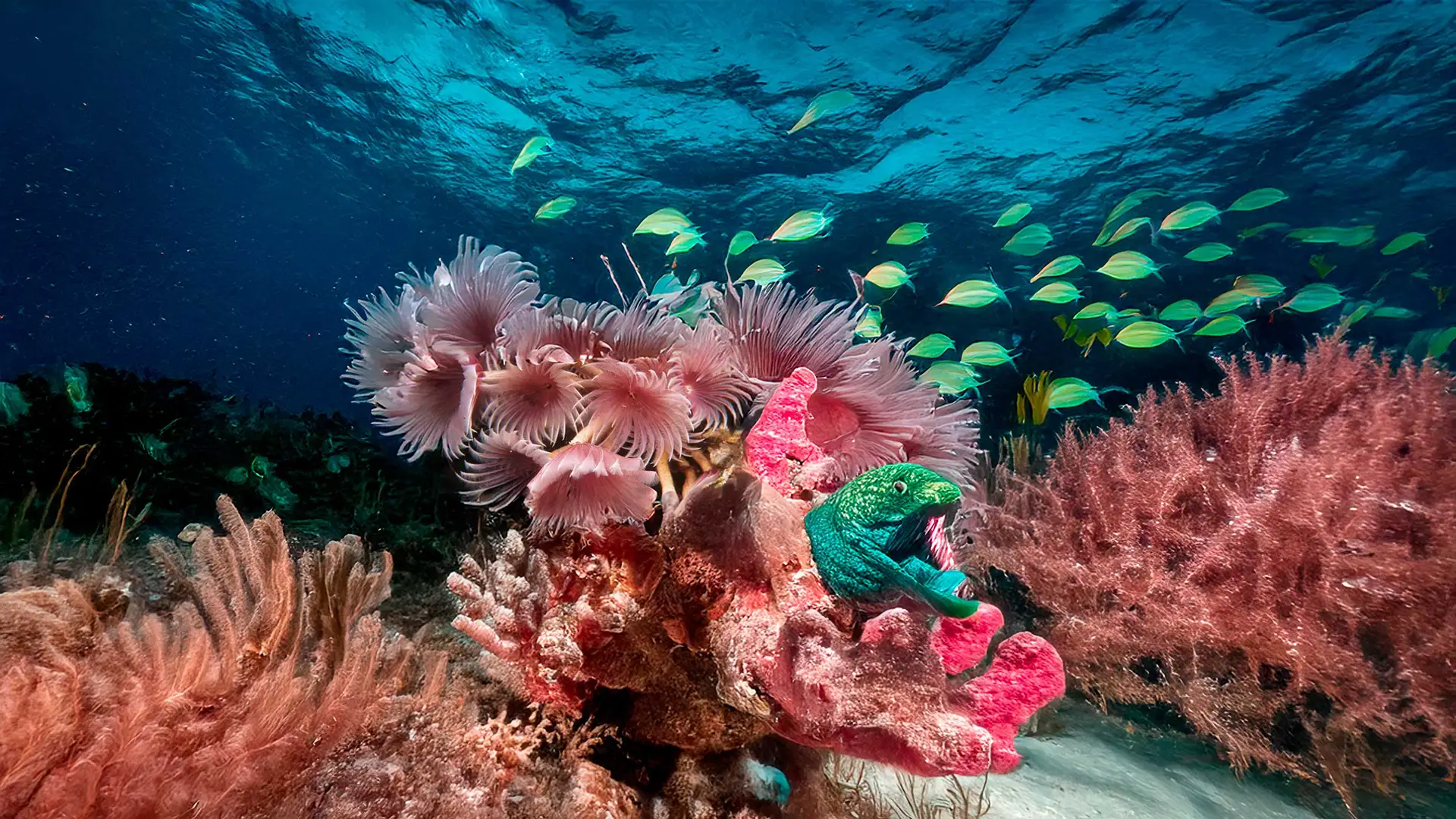 AI revolutionizes customer engagement, personalization, and lead generation